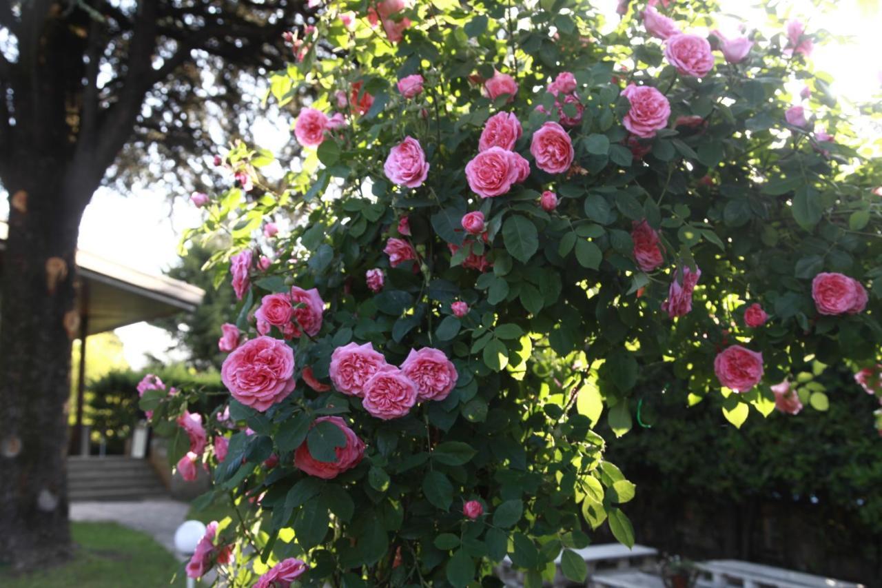 Acquachiara Iseo Deluxe Bed & Breakfast Iseo Center With Garden And Parking Inside Foresteria 外观 照片