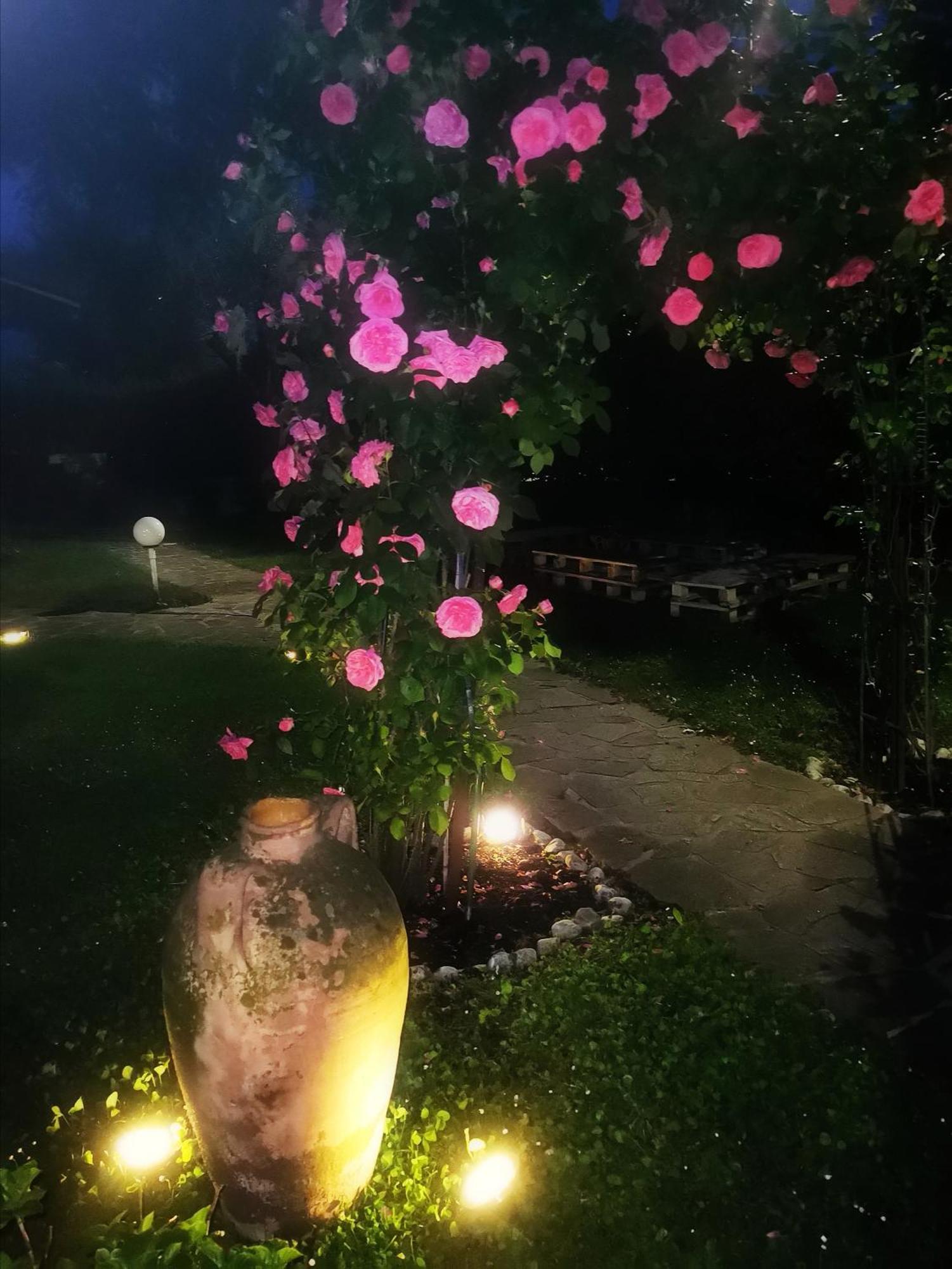 Acquachiara Iseo Deluxe Bed & Breakfast Iseo Center With Garden And Parking Inside Foresteria 客房 照片