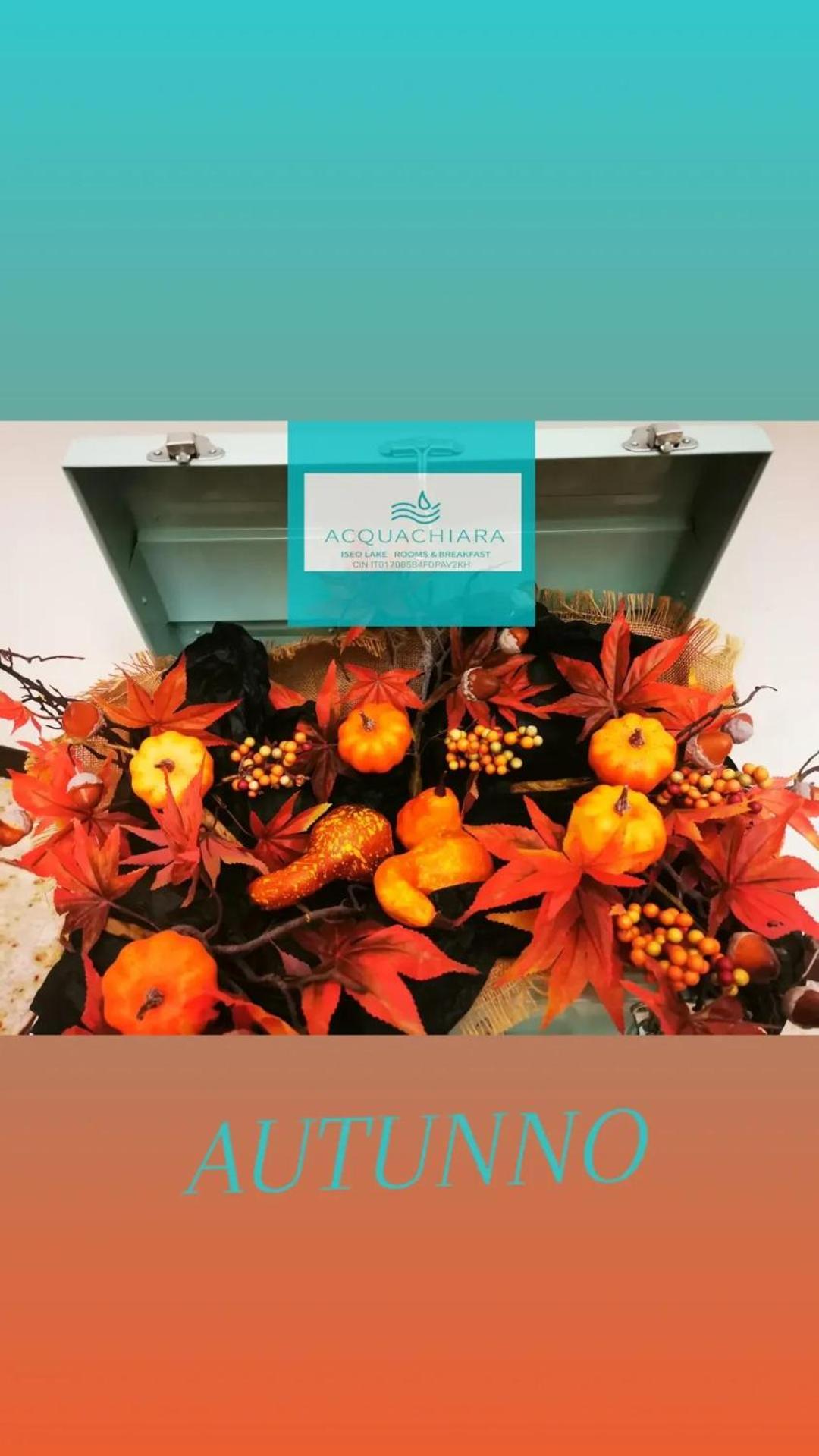 Acquachiara Iseo Deluxe Bed & Breakfast Iseo Center With Garden And Parking Inside Foresteria 外观 照片